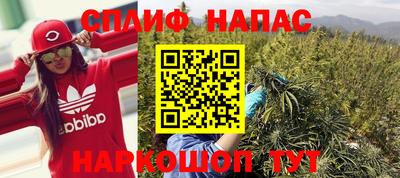 прущие грибы Малоярославец