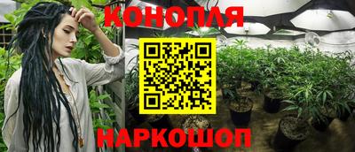 бошки Малгобек